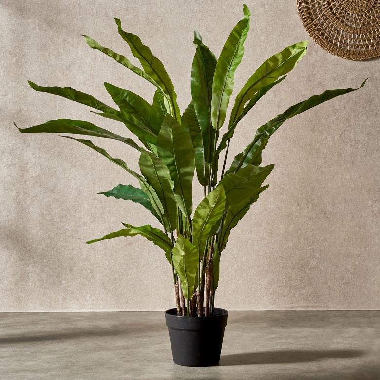 光触媒 人工観葉植物 ウォールグリーン フェイクグリーン アスプレニウムL