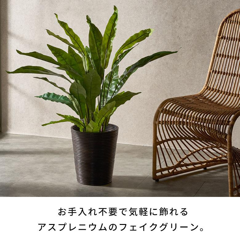 フェイク グリーン アスプレニウム オオタニワタリ 高さ 90cm 人工
