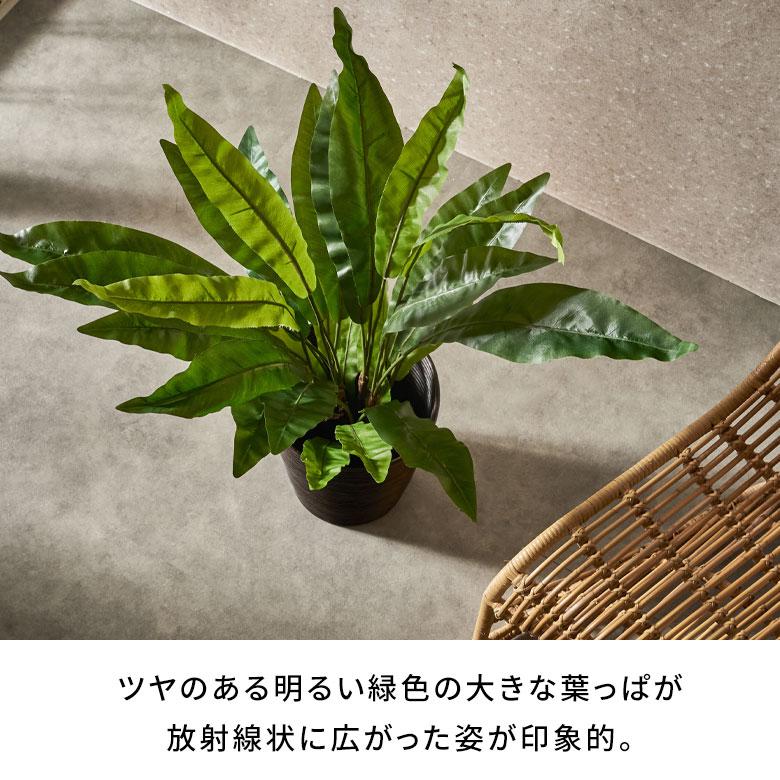 フェイク グリーン アスプレニウム オオタニワタリ 高さ 90cm 人工
