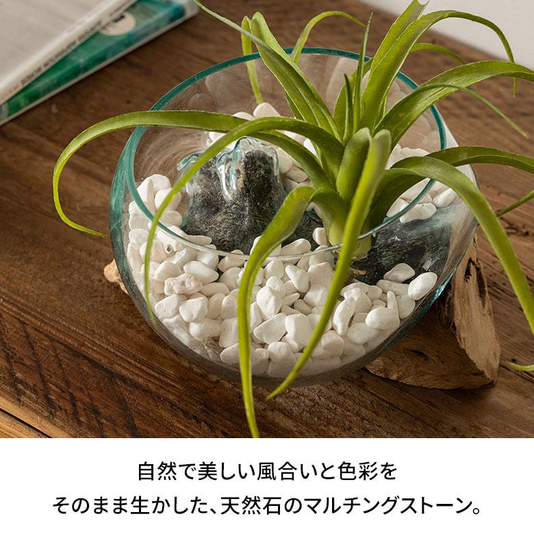 マルチング ストーン 天然石 600g 化粧 石 飾り カバー 鉢土 隠し