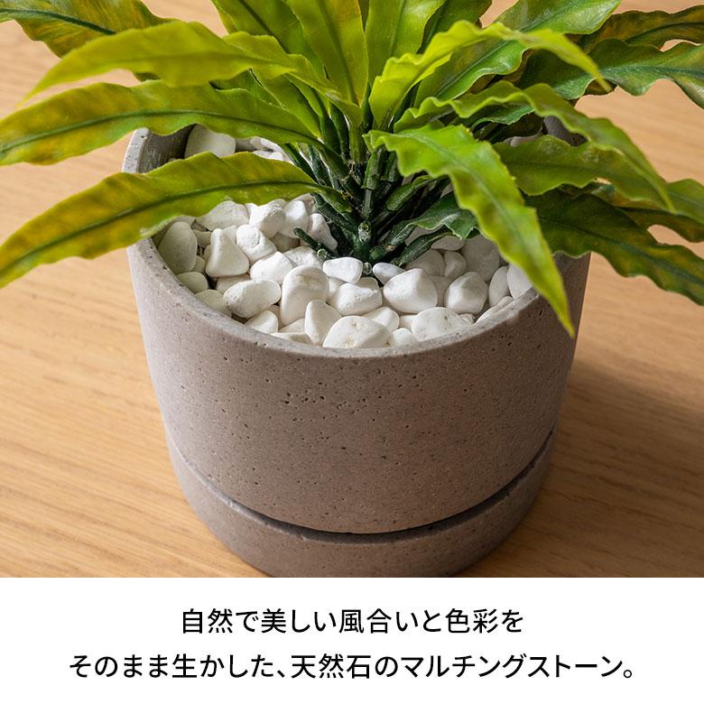 マルチング ストーン 天然石 300g 化粧 石 飾り カバー 鉢土 隠し