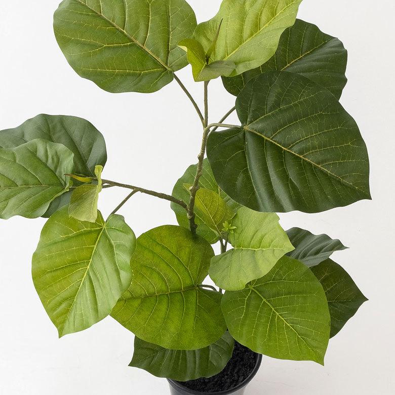 フェイクグリーン フィカス ウンベラータ 高さ 70cm 鉢付き 観葉植物 グリーン 99092_5