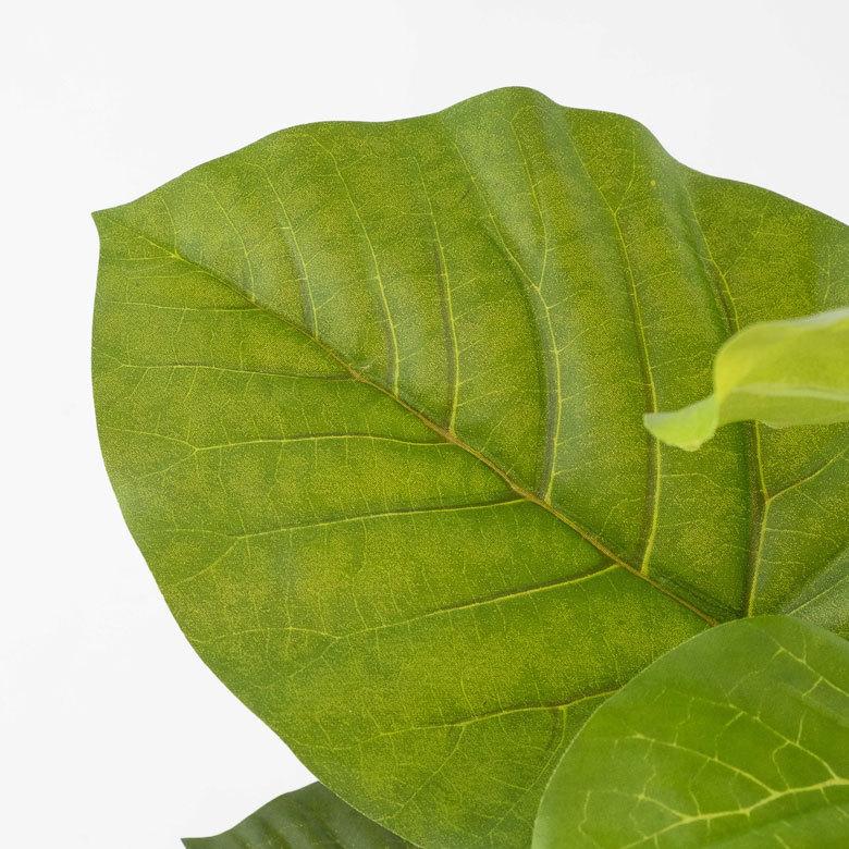 フェイクグリーン フィカス ウンベラータ 高さ 70cm 鉢付き 観葉植物 グリーン 99092_6