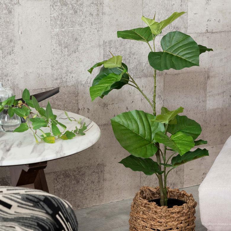 フェイクグリーン フィカス ウンベラータ 高さ 70cm 鉢付き 観葉植物 グリーン 99092_9