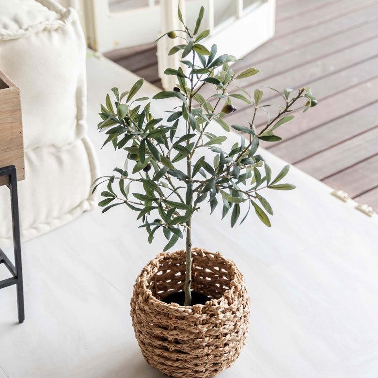 フェイクグリーン オリーブ 高さ 70cm 鉢付き 観葉植物 グリーン 99093