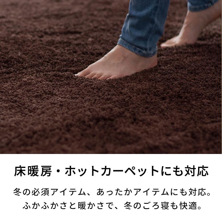 洗える シャギーラグカーペット 強力滑り止め付き 直径約185cm 円形 A100-185R |  | 17