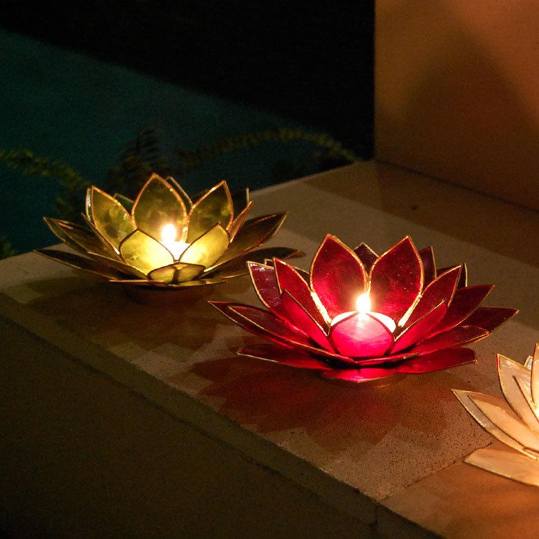 カピスシェル 蓮の花のようなキャンドルホルダーMサイズ 3色展開