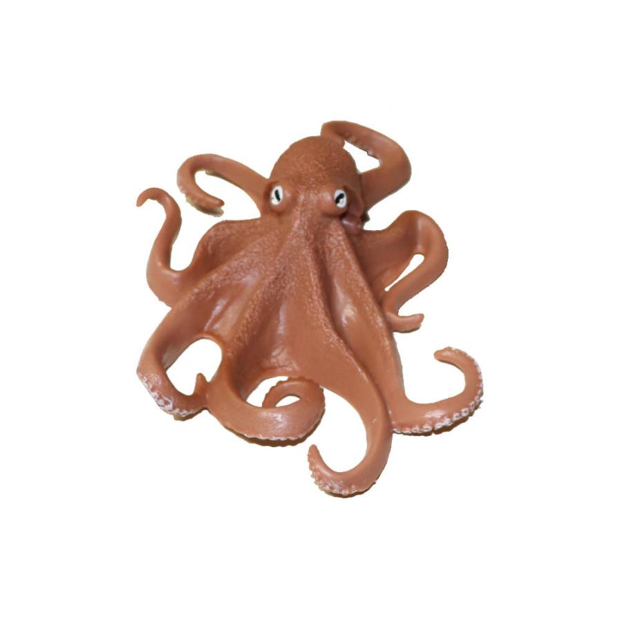 タコ 蛸 魚模型 魚フィギュア Faf C14 寸法 約14x9x3cm Faf C14 ディスプレイ アートジャパン 通販 Yahoo ショッピング