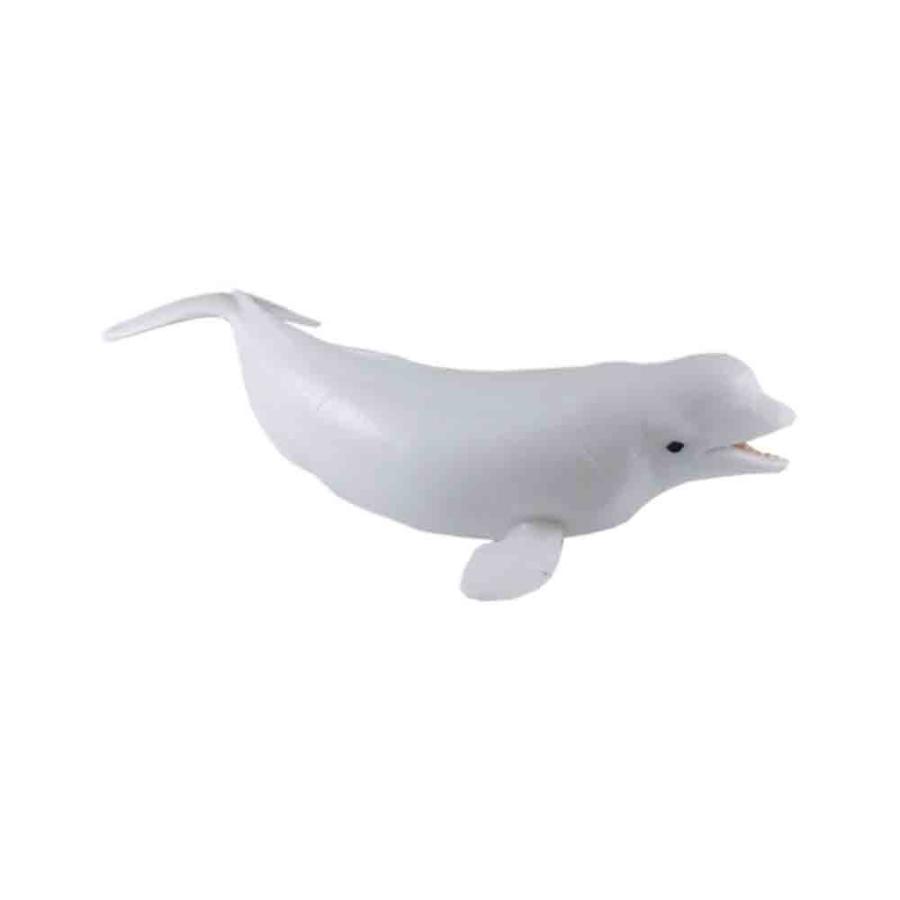 白イルカ シロイルカ 魚模型 魚フィギュア 寸法 約18x8x5cm 長さ18cm ヒレの幅8cm 高さ5cm Faf Wi ディスプレイ アートジャパン 通販 Yahoo ショッピング