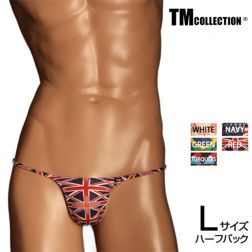 Lサイズ メンズビキニ TMコレクション N-3 National Flag ハギナシ
