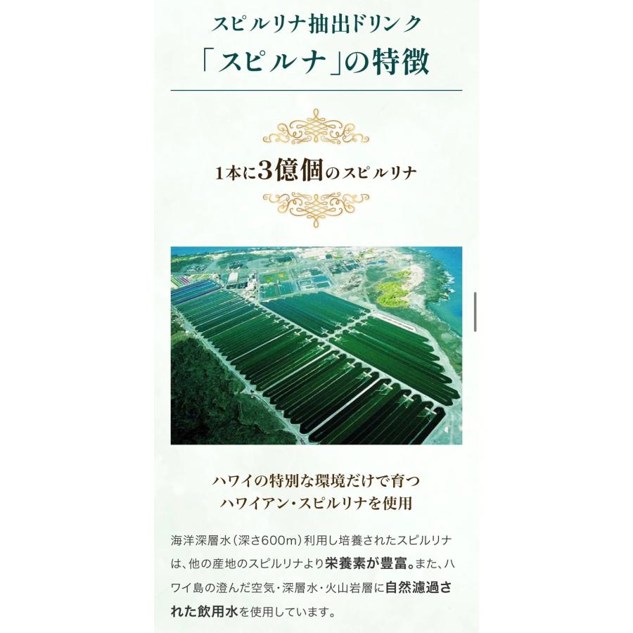 スピルナ SPIRULINA 3億個のエキス (10本入り×5ケース) : ASIAN MAX