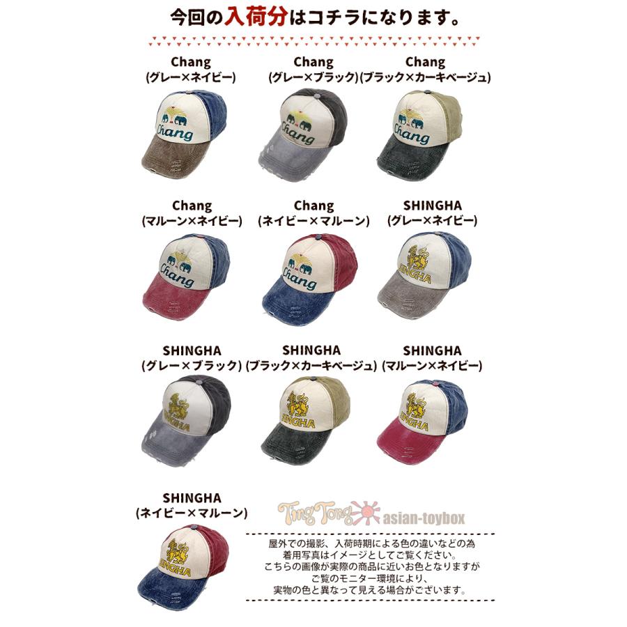 ユニセックス タイビールロゴダメージキャップ 2025年春夏 メール便