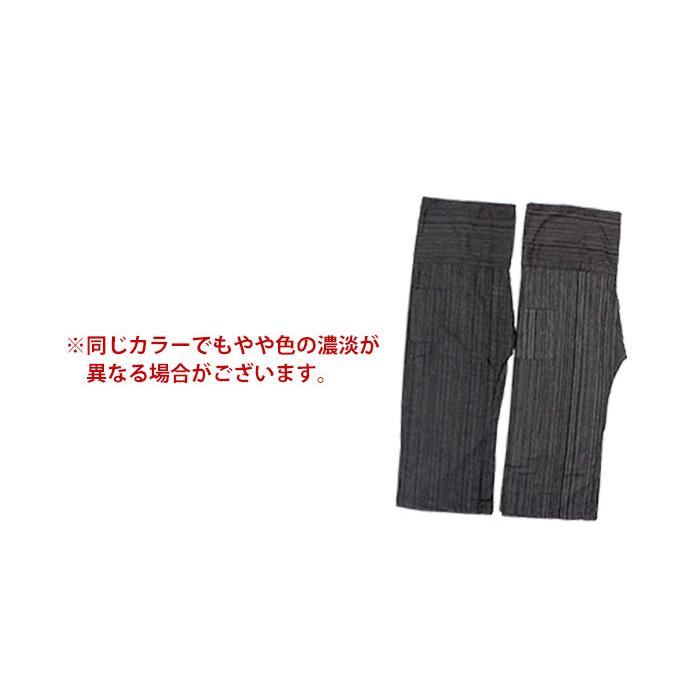 SPT タイパンツ ワイドパンツ メンズ SPTストライプタイパンツ 2025年