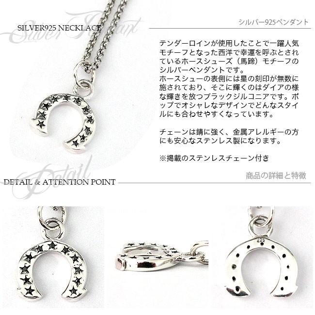 ネックレス シルバー925 メンズ レディース ペンダント チェーン付 