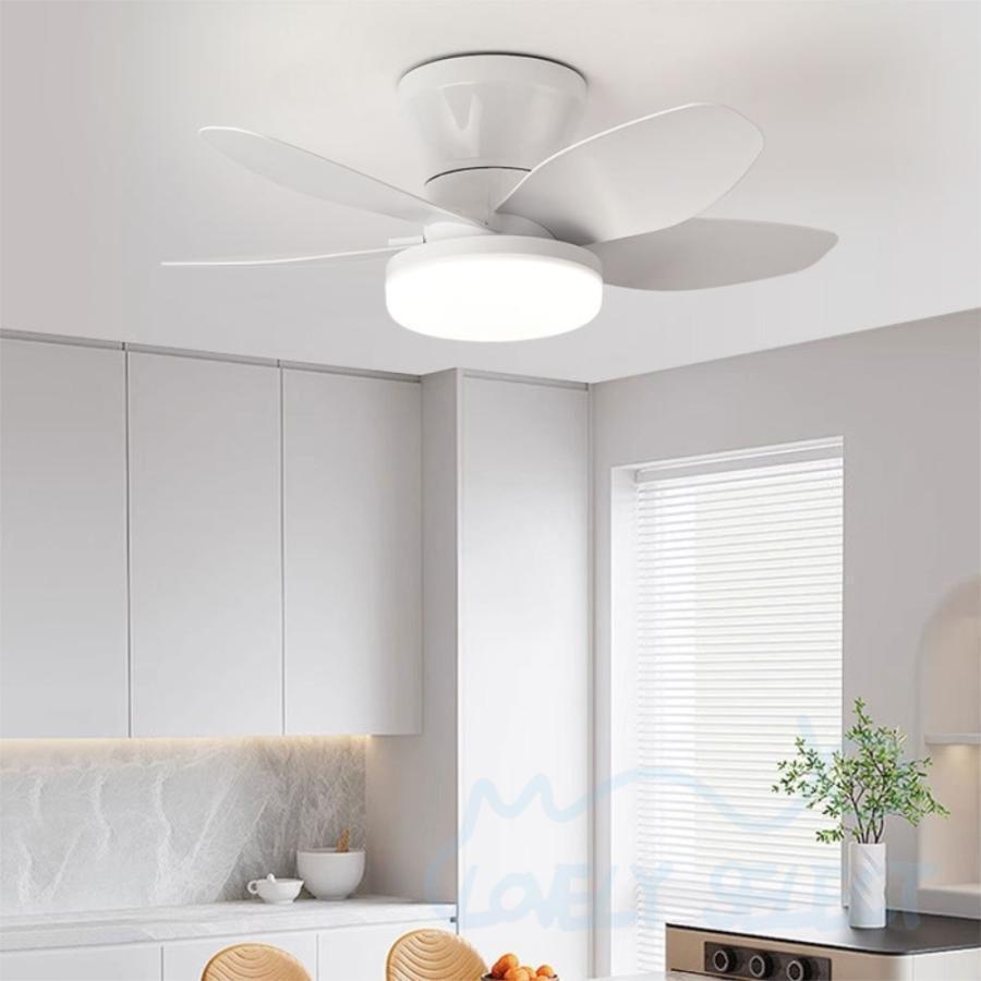 5年保証】シーリングファンライト LED 調光調色 逆回転 5枚羽根 薄型