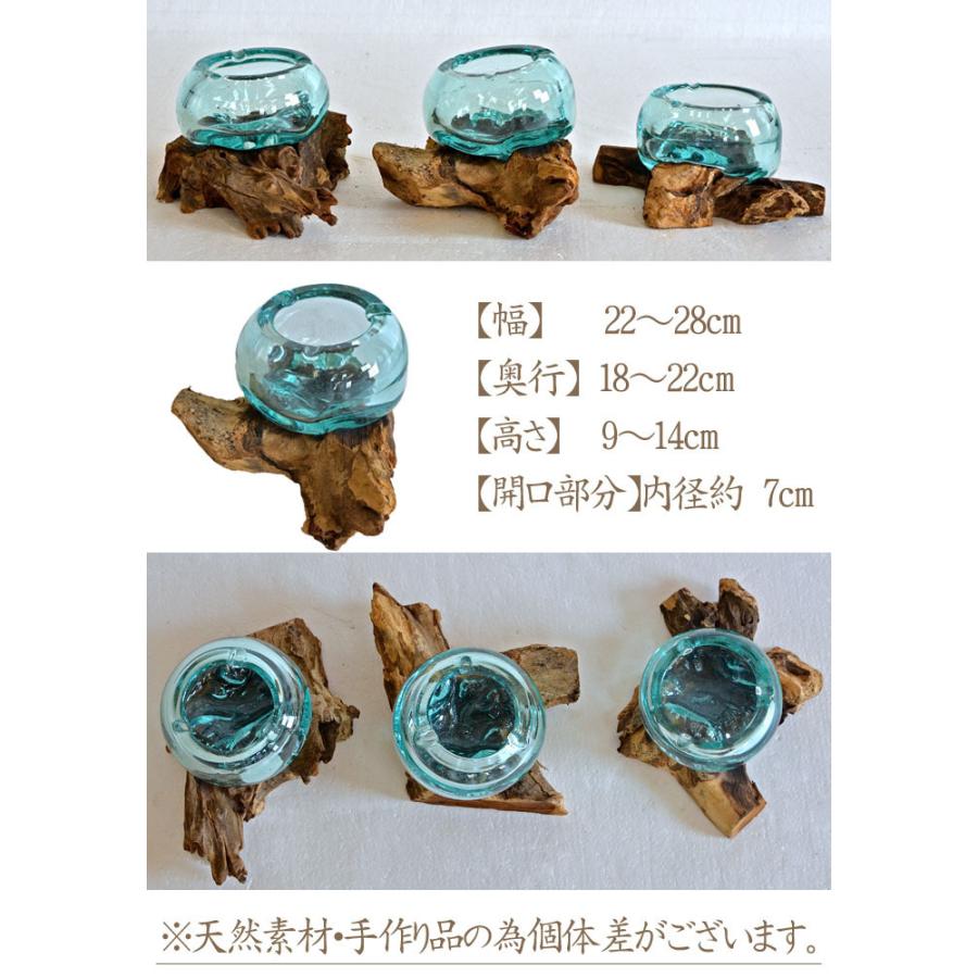 バリガラス×流木 灰皿 《幅：23m〜26cm》花瓶 フラワーベース 金魚鉢