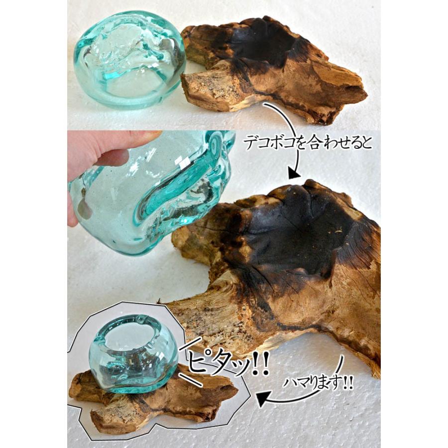 バリガラス×流木 灰皿 《幅：23m〜26cm》花瓶 フラワーベース 金魚鉢