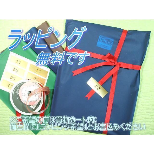 Amy エイミー・ワインハウスのＴシャツ【土日も発送】ロックＴシャツ 夭折 女性ロックシンガー Rock T-shirt Tシャツ イギリス 27club 送料無料 ラッピング無料 |  | 05