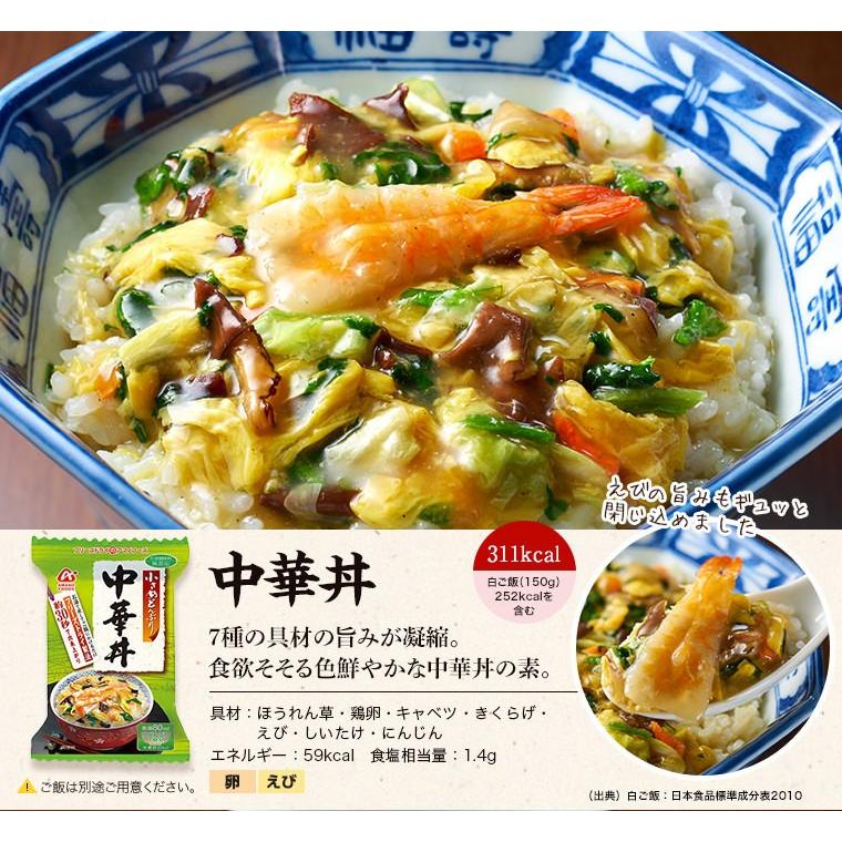 アマノフーズ フリーズドライ 無添加 丼（どんぶり）３種類９食セット ...