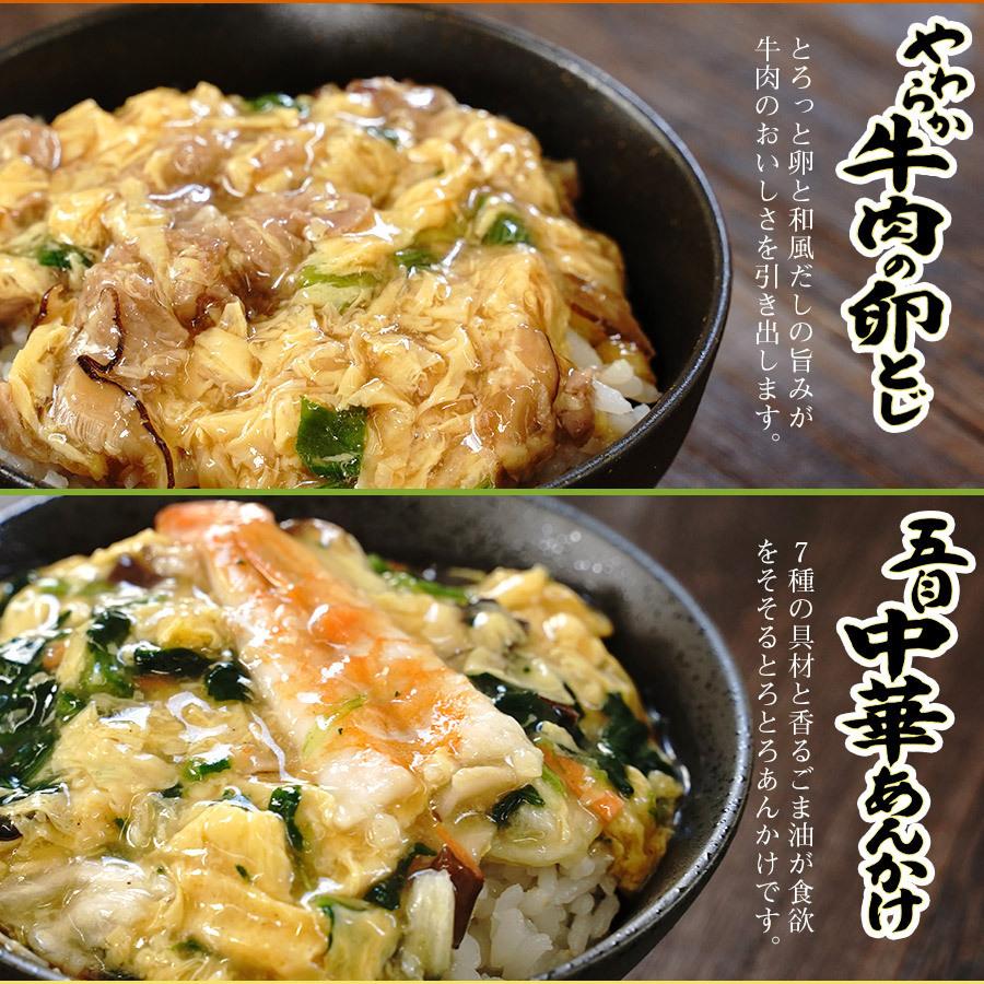 アマノフーズ フリーズドライ  惣菜 どんぶりの素 ３種類12食セット（親子煮・中華あんかけ・牛肉の玉子とじ）｜asianlife｜04