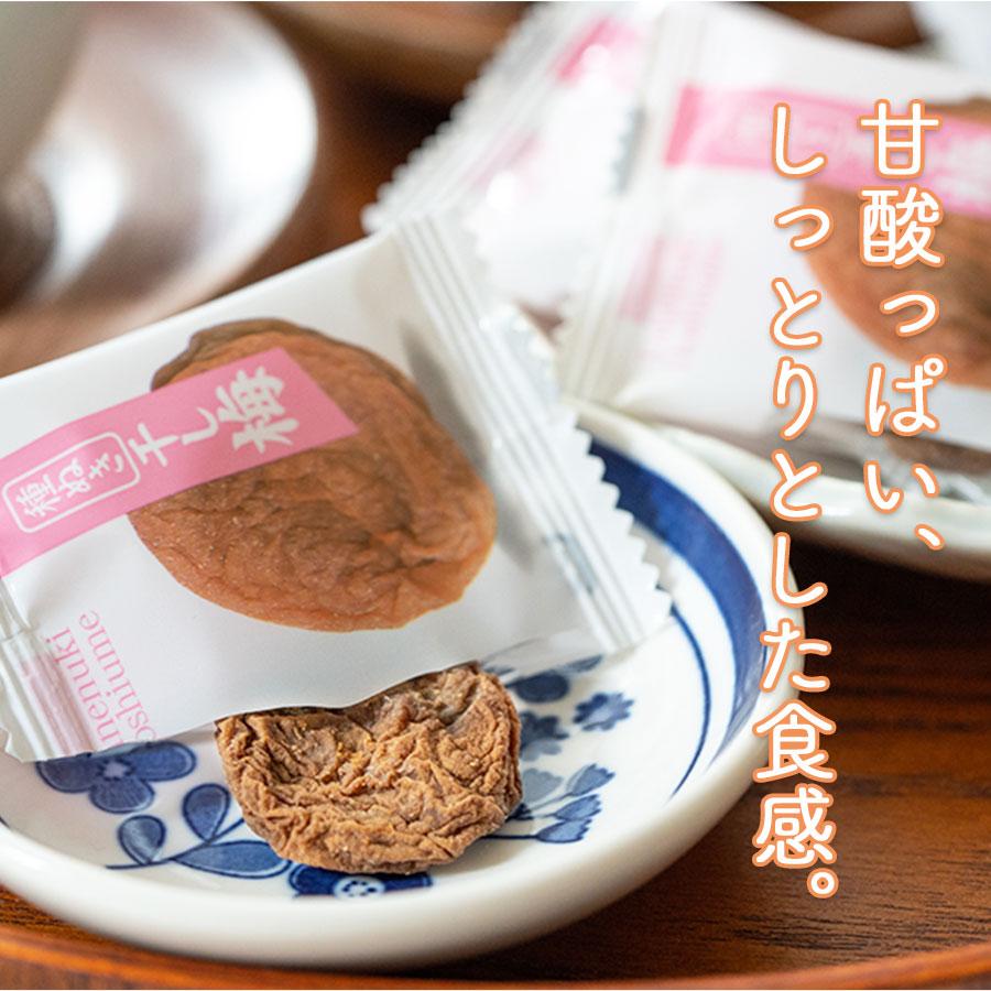 種ぬき 干し梅（個包装タイプ）50g : 自然派Sakura離乳食おかゆ惣菜