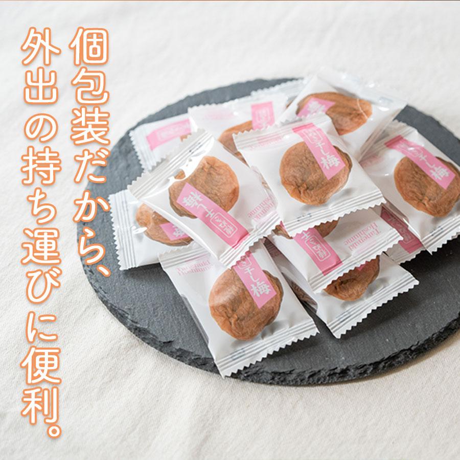 種ぬき 干し梅(個包装タイプ)50g×5袋セット : 自然派ストア 種ぬき 干し梅(個包装タイプ)50g×5袋セット : 自然派ストア