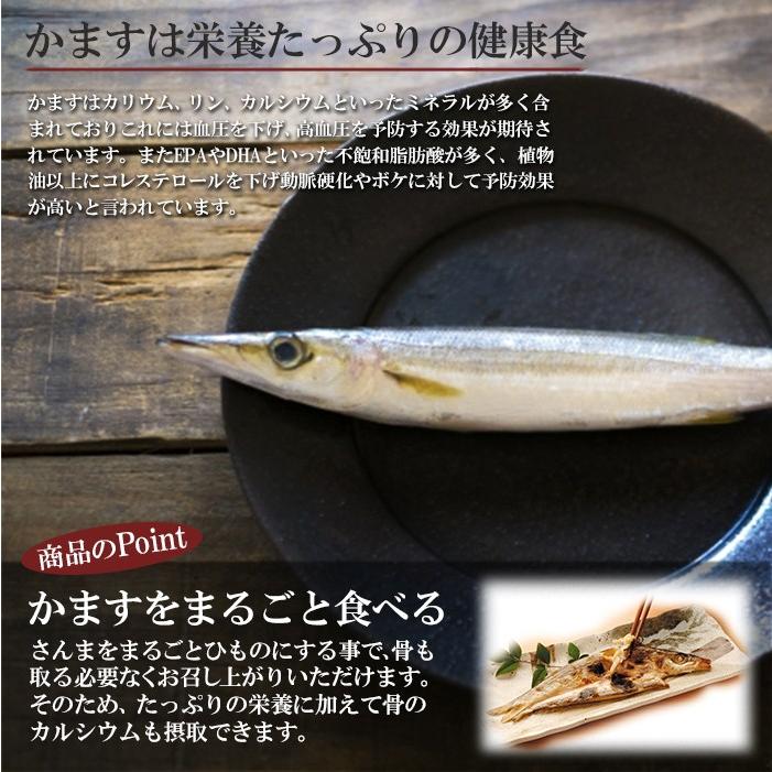 有名なブランド まるごとくん かますのひもの 国産 干物 常温 長期保存 Materialworldblog Com