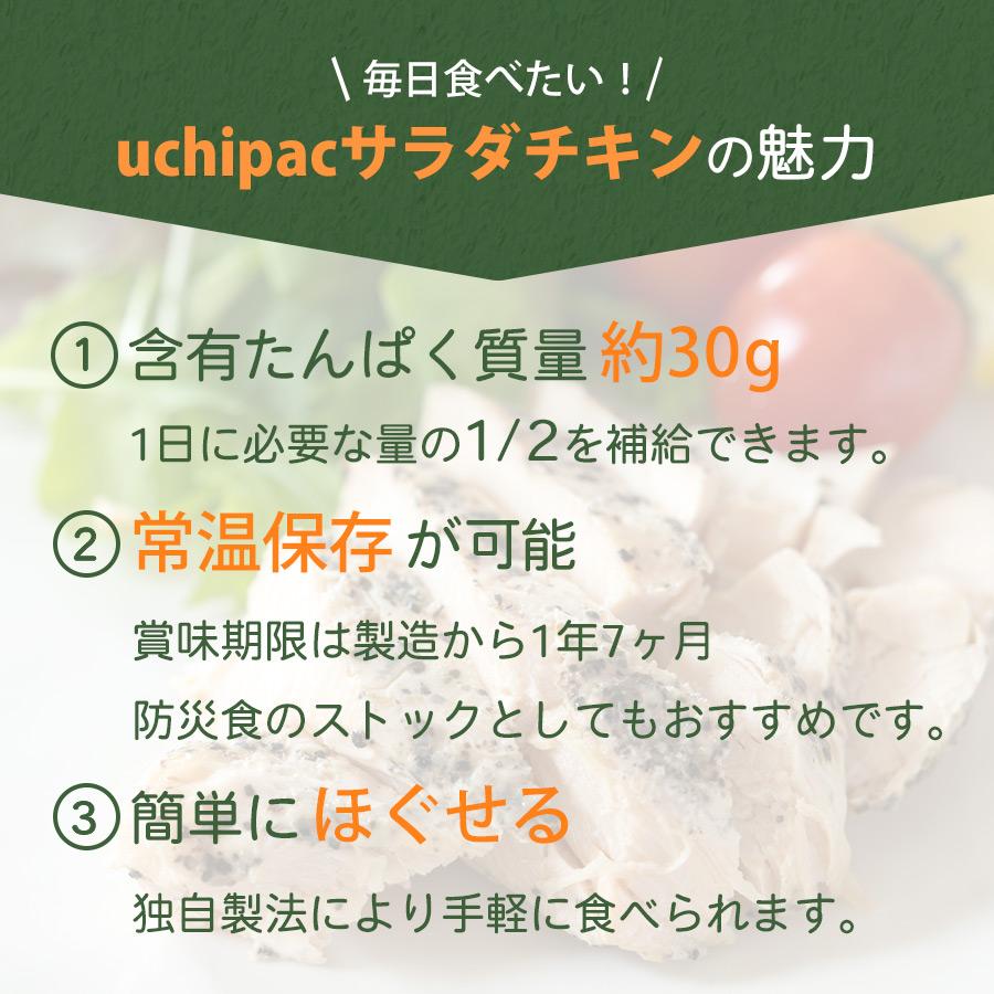 無添加 サラダチキン カレー 100gX30袋 高たんぱく 常温保存_2