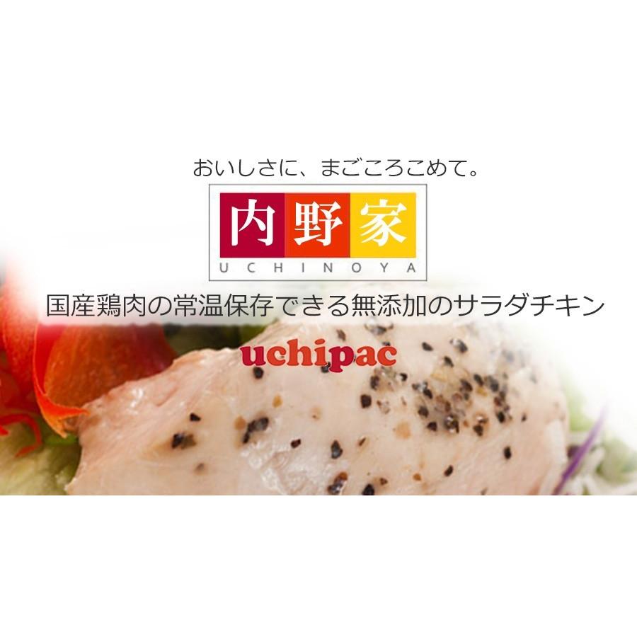 高知インター店 レトルト食品 サラダチキン ブラックペッバー ガーリック 100gｘ30個 無添加 Uchipac 常温ロングライフ 美しい Www Muslimaidusa Org