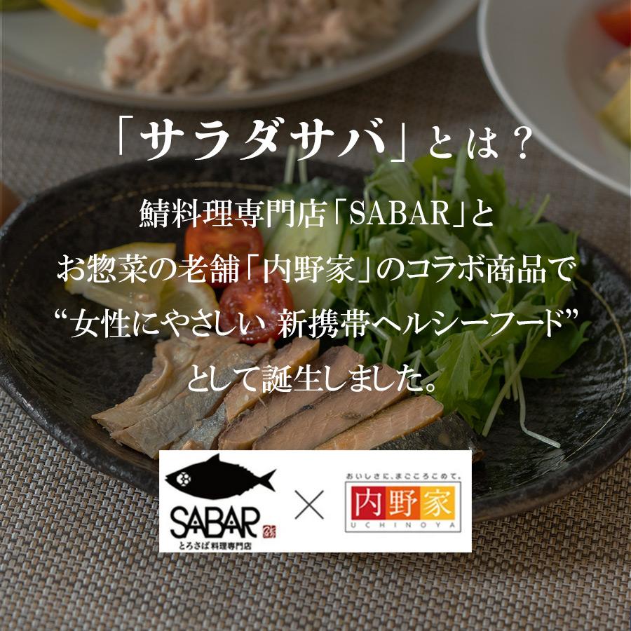 国産 サラダサバ カレー 1切れ 無添加 常温保存｜asianlife｜02