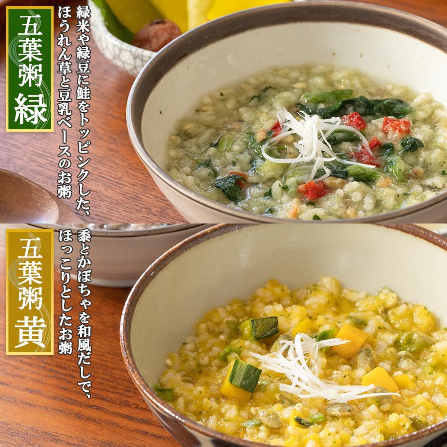 養命酒 五養粥 やくぜんシリーズ 5種10食セット 薬膳お粥 フリーズ
