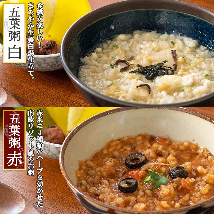 お粥 詰め合わせセット フリーズドライ 養命酒 五養粥 薬膳 5種15食
