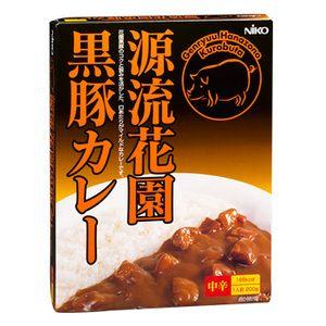 ご当地カレー　レトルトカレー 埼玉 源流花園黒豚カレー 中辛　 200ｇ｜asianlife｜02