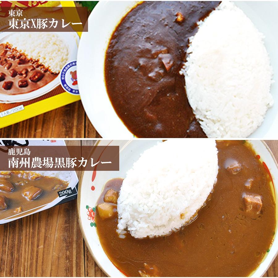 ご当地レトルトカレー お肉のカレー10種類詰め合わせセット ご当地レトルトカレー お肉のカレー10種類詰め合わせセット