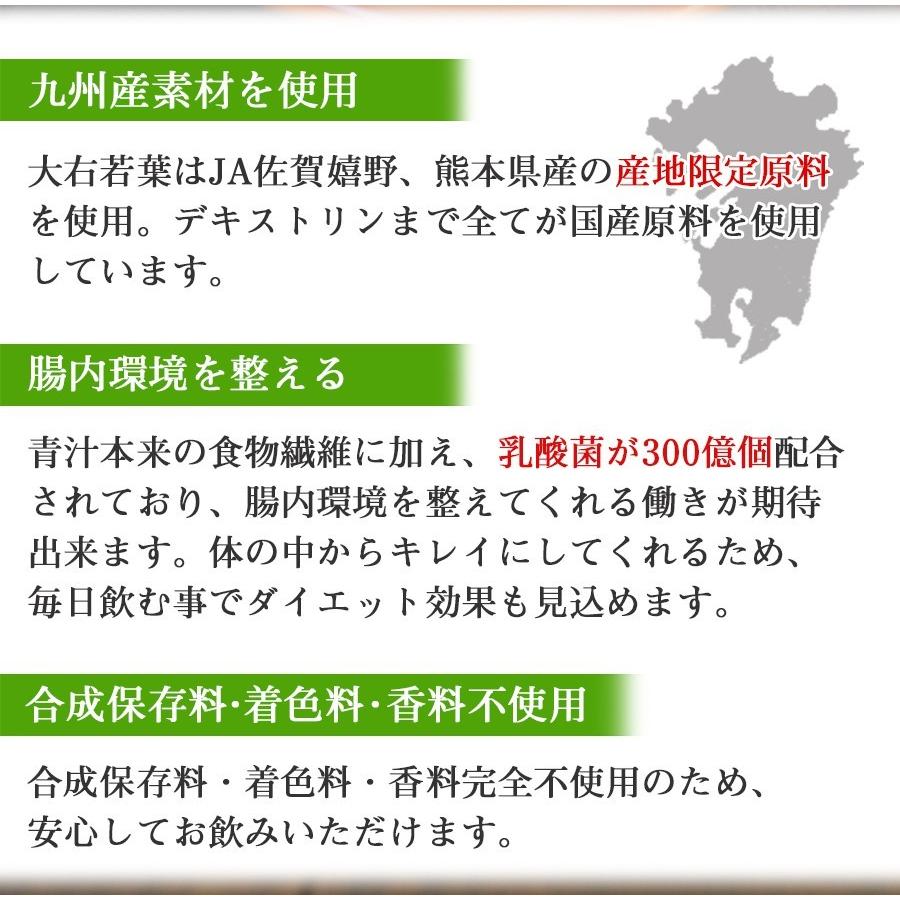 青汁習慣 3gX20包入 JA全農 大麦若葉 乳酸菌配合 野菜不足 ドリンク 国産｜asianlife｜04