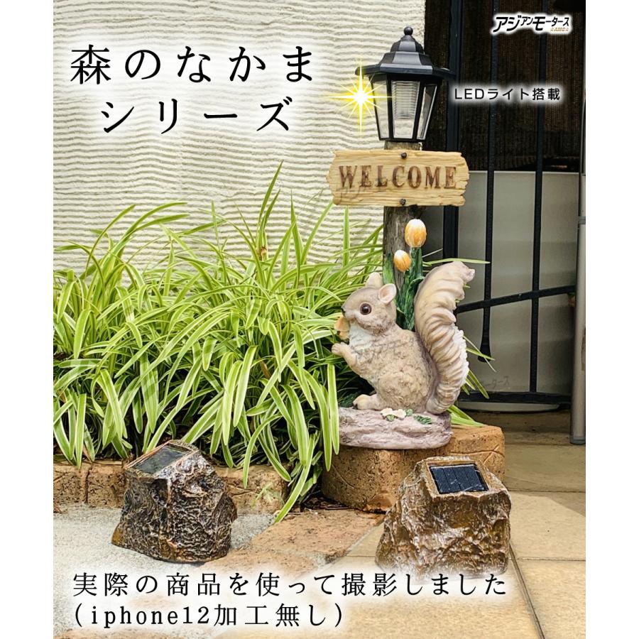 楽天1位 ソーラーライト Led ガーデンファニチャー ガーデンライト リス ウェルカムボード Amc 送料無料 Rls Aynaelda Com