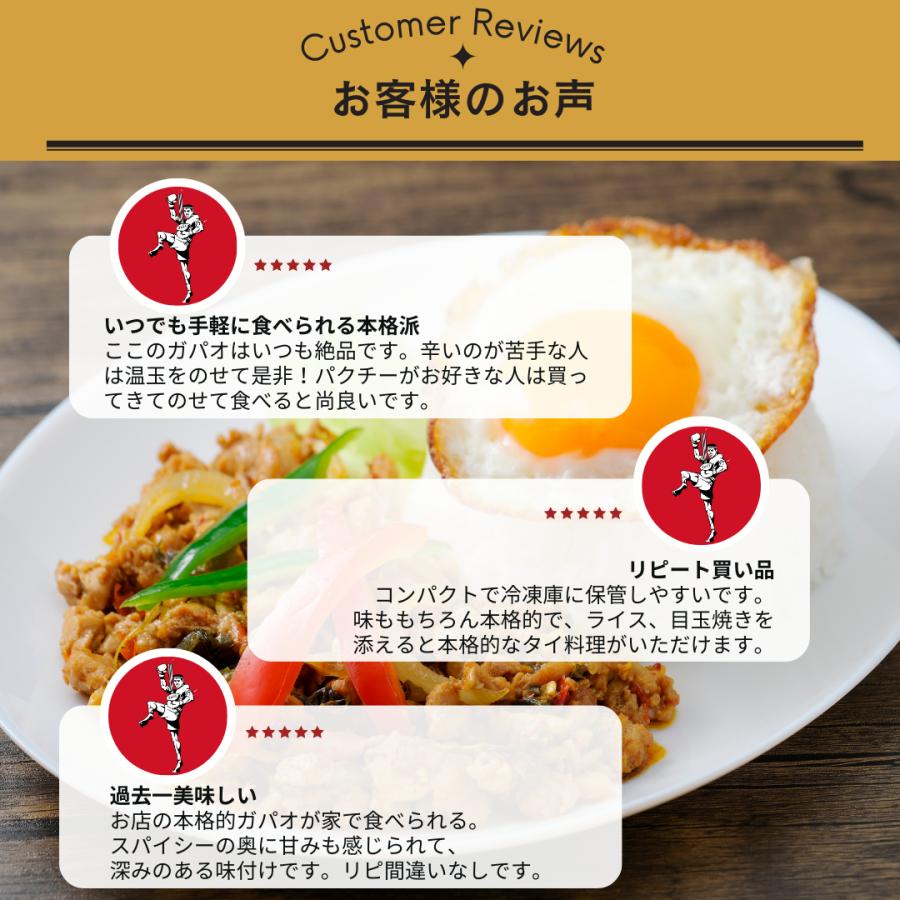 ガパオライス 冷凍 1人前 ガパオ 鶏ひき肉 バジル炒め タイごはん