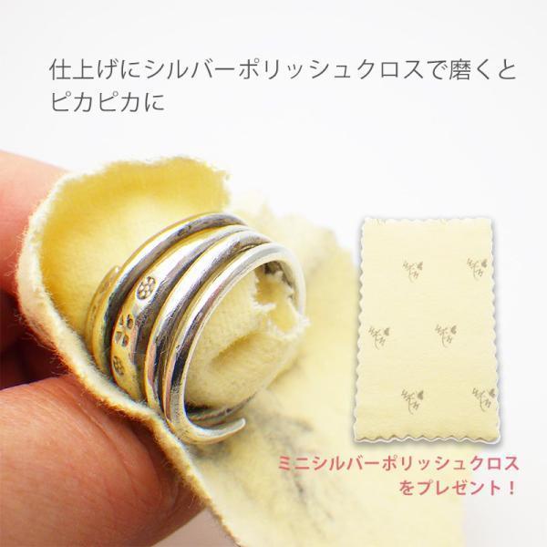 シルバークリーナー 液体 洗浄液 ハガティ シルバークリーンミニ 50ml