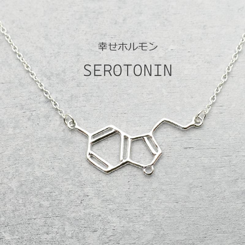 ネックレス 化学式 セロトニン レディース アクセサリー シルバー925 アレルギー対応 サイエンス ジュエリー プレゼント ギフト 30代 40代 50代 | ansil