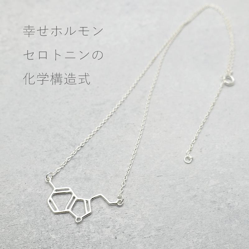 ネックレス 化学式 セロトニン レディース アクセサリー シルバー925 アレルギー対応 サイエンス ジュエリー プレゼント ギフト 30代 40代 50代 | ansil | 01