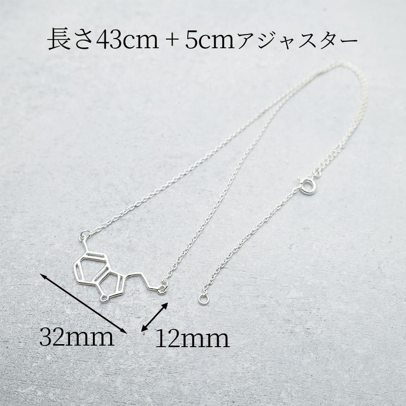ネックレス 化学式 セロトニン レディース アクセサリー シルバー925 アレルギー対応 サイエンス ジュエリー プレゼント ギフト 30代 40代 50代 | ansil | 06