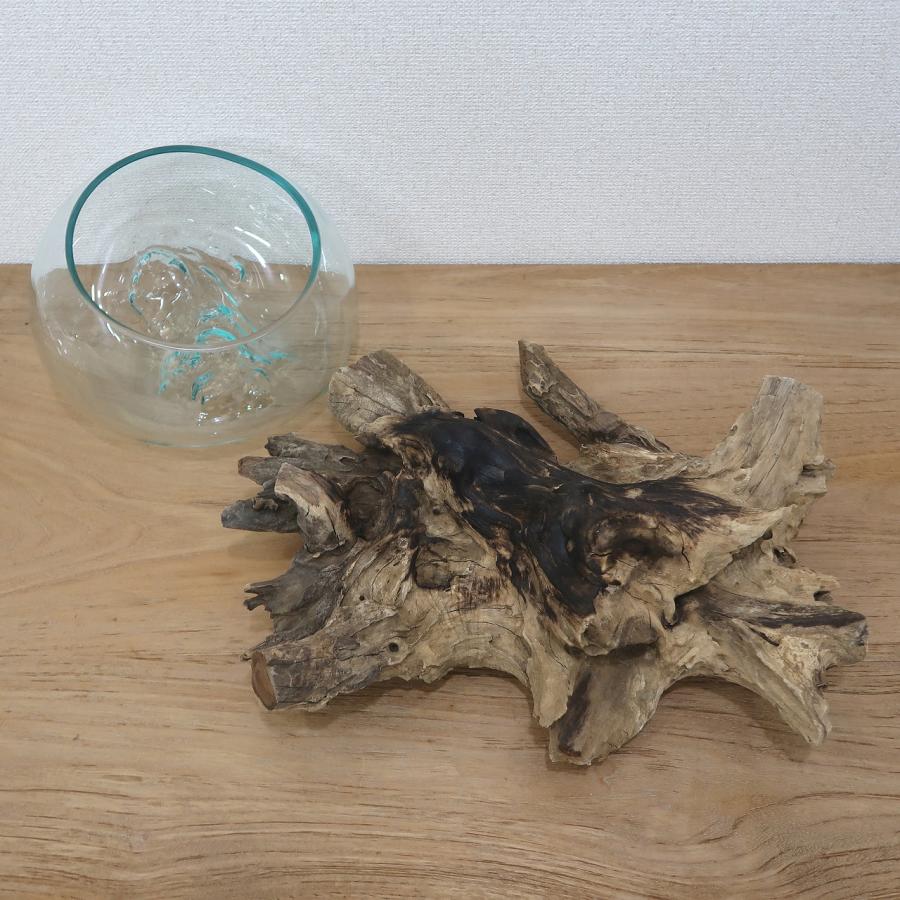 溶けたガラス＆天然木 の花瓶 フラワーベース Lサイズ 流木風 睡蓮鉢