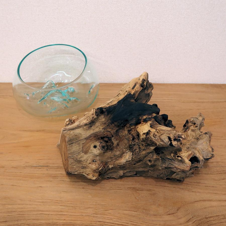 溶けたガラス＆天然木 の花瓶 フラワーベース Lサイズ 流木風 睡蓮鉢