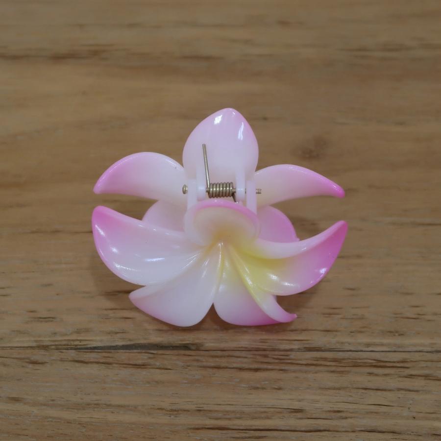 プルメリア 花のクリップ プラスチック 7COLORS アジアン バリ島 ハワイアン雑貨 ヘアアクセサリー ヘアクリップ お花クリップ フラダンス 220771 |  | 12