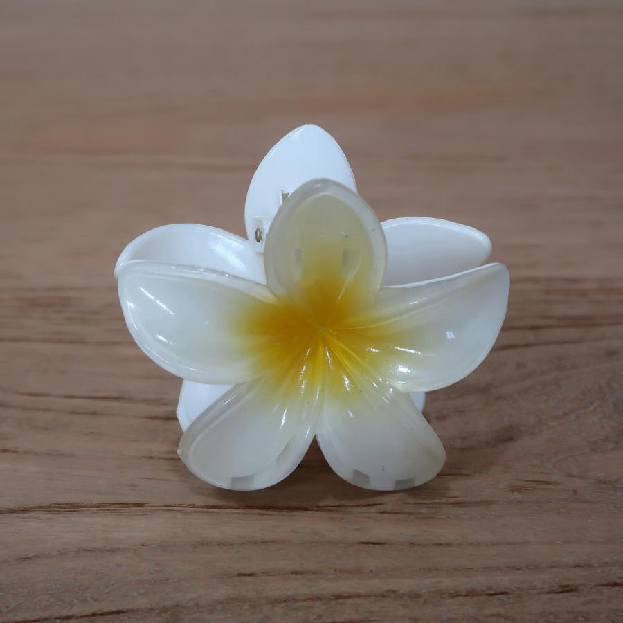 プルメリア 花のクリップ プラスチック 7COLORS アジアン バリ島 ハワイアン雑貨 ヘアアクセサリー ヘアクリップ お花クリップ フラダンス 220771 |  | 06