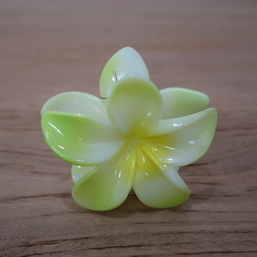 プルメリア 花のクリップ プラスチック 7COLORS アジアン バリ島 ハワイアン雑貨 ヘアアクセサリー ヘアクリップ お花クリップ フラダンス 220771 |  | 09