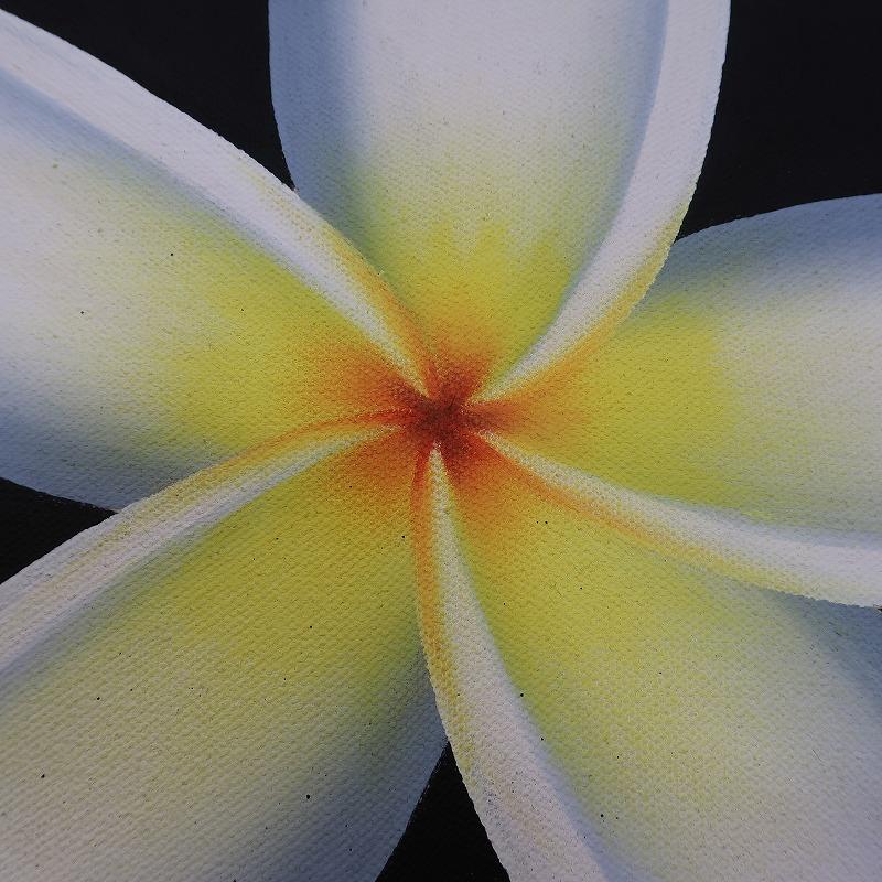 プルメリアの絵 25X20 ブラック【メール便OK】【リゾート モダンアート