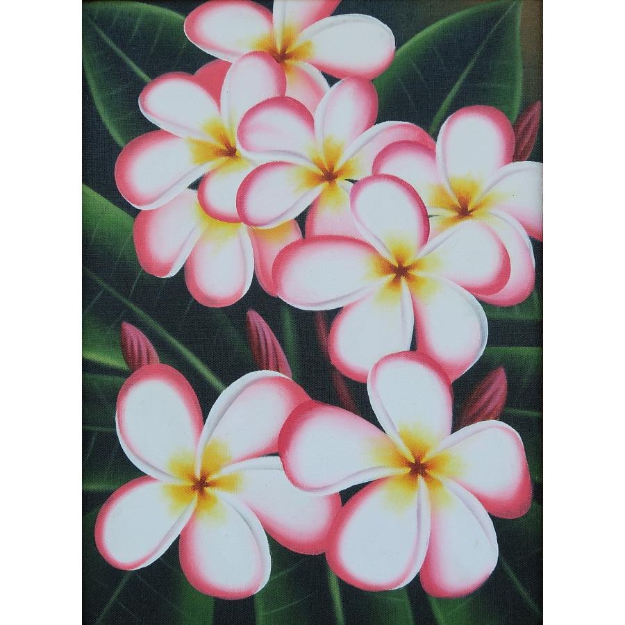 プルメリアの絵 ピンク 42X52 絵画 花の絵 リゾート ハワイアン