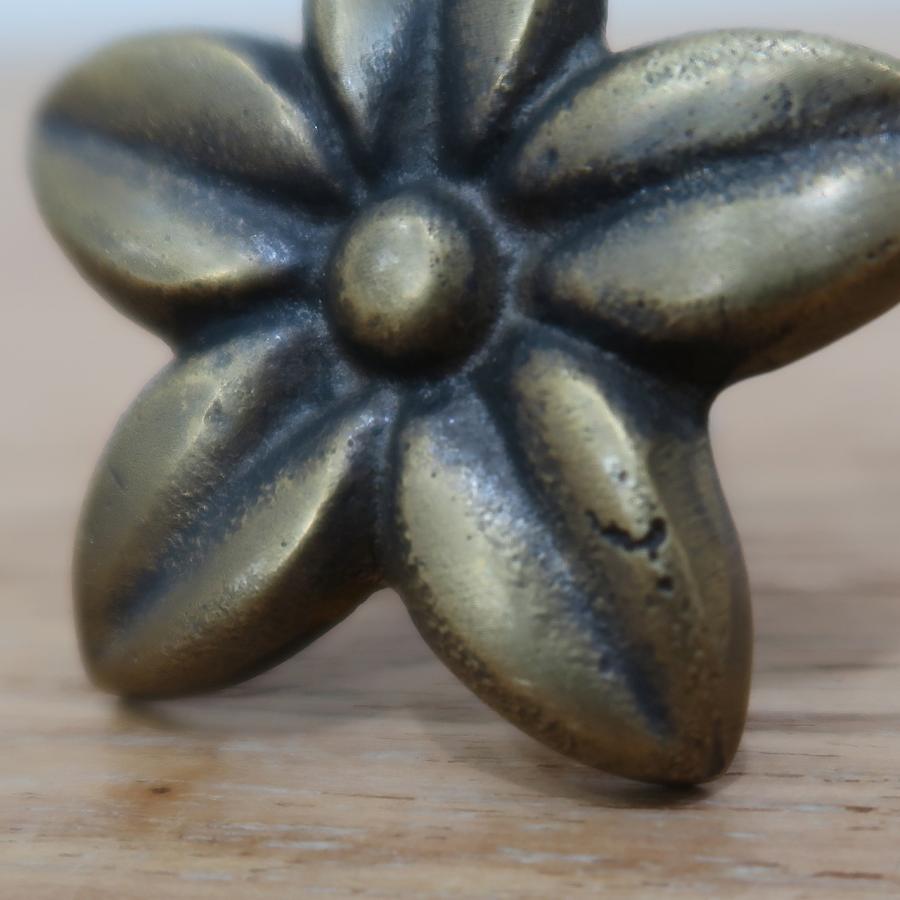 プルメリアの花 家具の取っ手 真鍮製 アンティークゴールド N-098