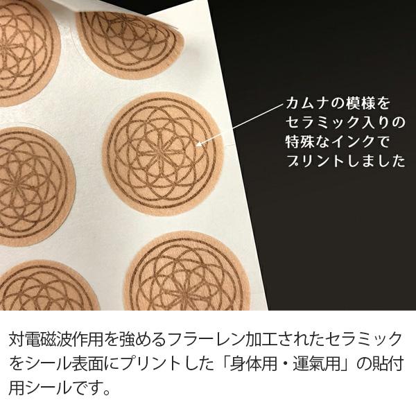 丸山式コイル ブラックアイ ナノ 6個入 電磁波防止グッズ 電磁波 丸山式コイル ブラックアイ ナノ 6個入 電磁波防止グッズ 電磁波